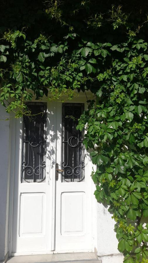 Apartman Marcela Zadar Exteriér fotografie